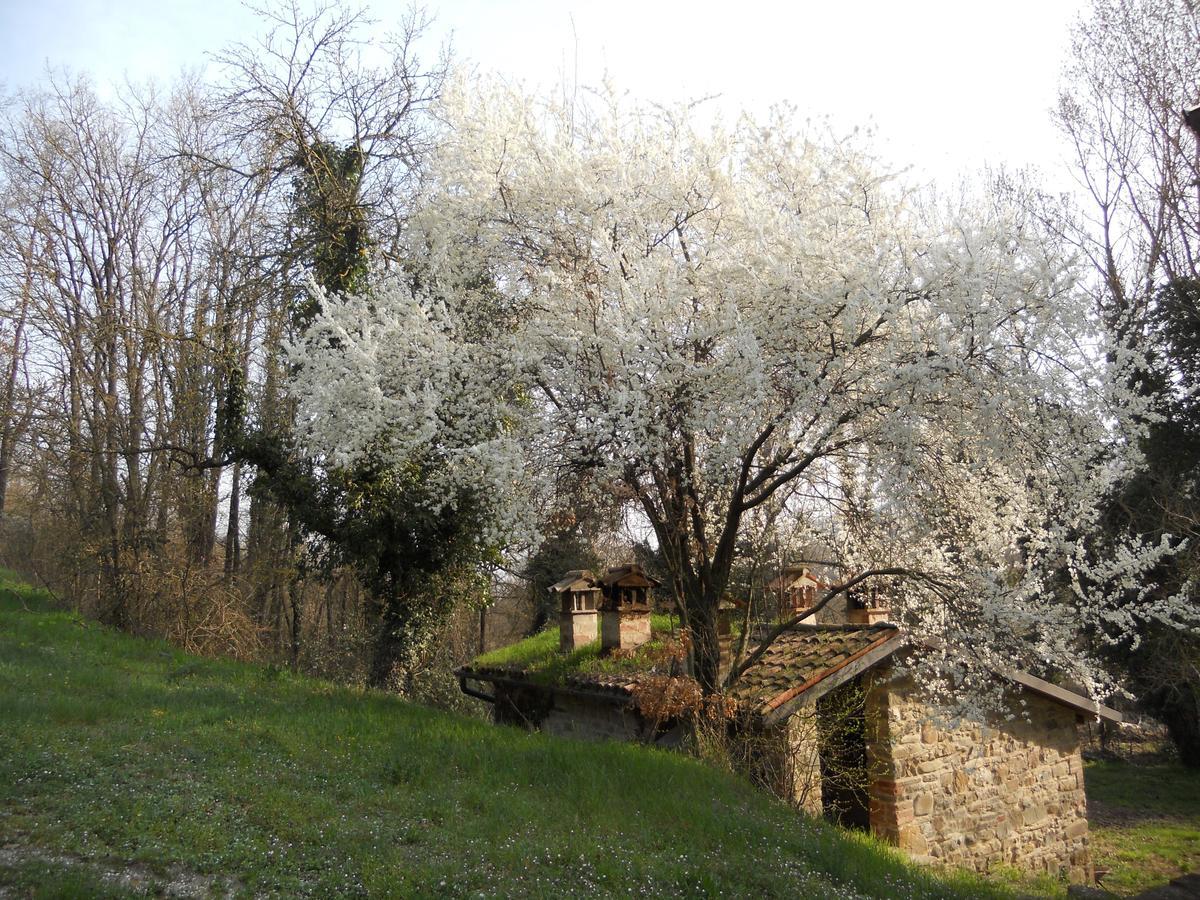 La Cartiera Dei Benandanti Villa Monghidoro Dış mekan fotoğraf