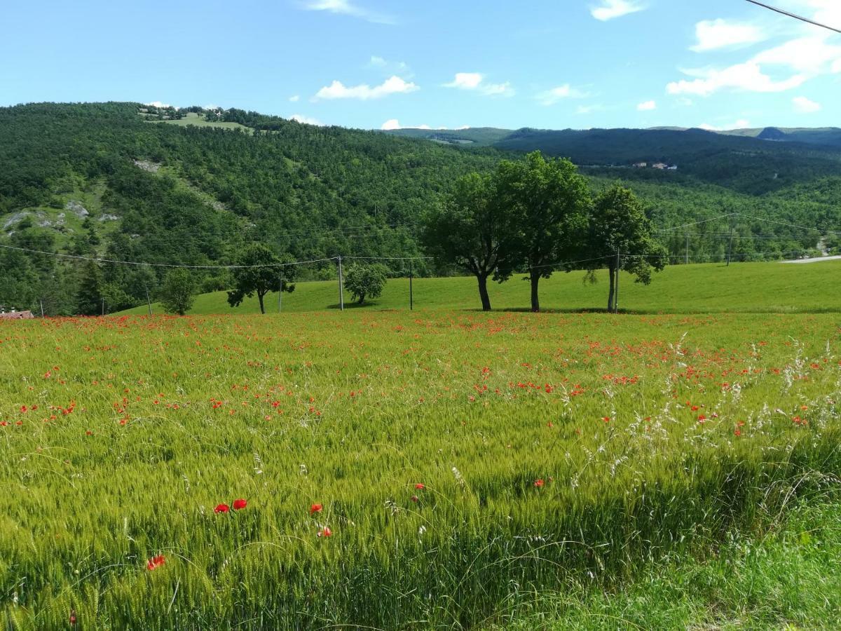 La Cartiera Dei Benandanti Villa Monghidoro Dış mekan fotoğraf