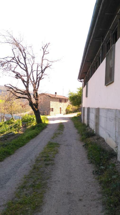 La Cartiera Dei Benandanti Villa Monghidoro Dış mekan fotoğraf